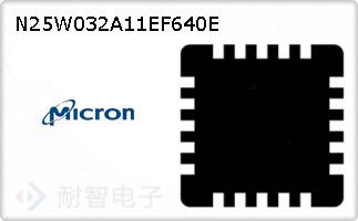 N25W032A11EF640E的图片