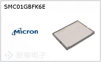 SMC01GBFK6E