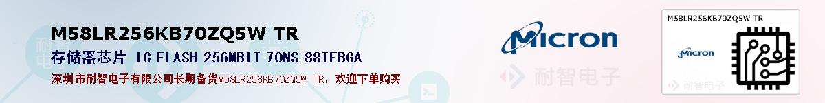 M58LR256KB70ZQ5W TRıۺͼ
