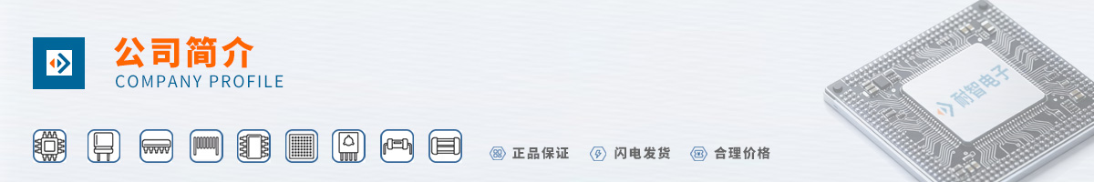 ����(MICRON)��˾����