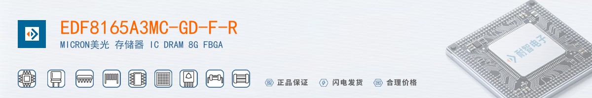 EDF8165A3MC-GD-F-R������