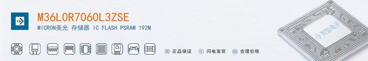M36L0R7060L3ZSE������
