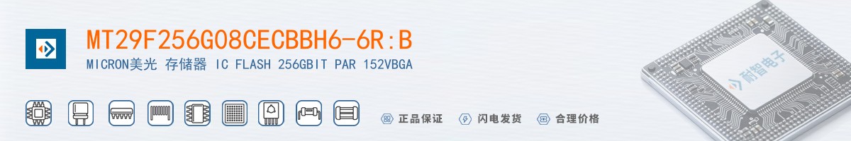 MT29F256G08CECBBH6-6R:B������