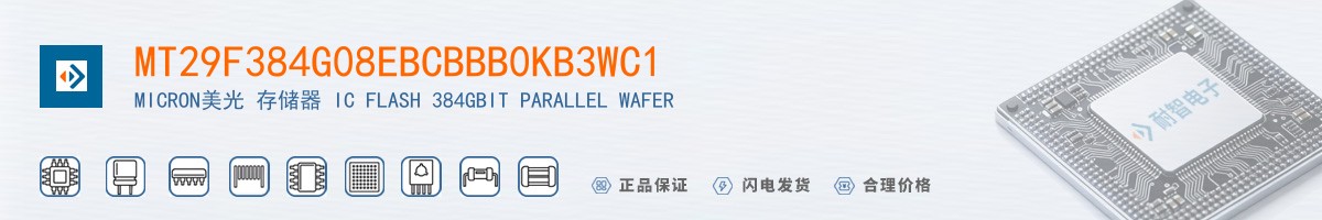 MT29F384G08EBCBBB0KB3WC1������