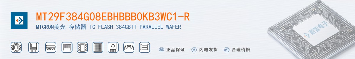 MT29F384G08EBHBBB0KB3WC1-R������
