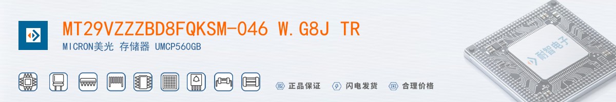 MT29VZZZBD8FQKSM-046 W.G8J TR������