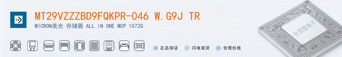 MT29VZZZBD9FQKPR-046 W.G9J TR������