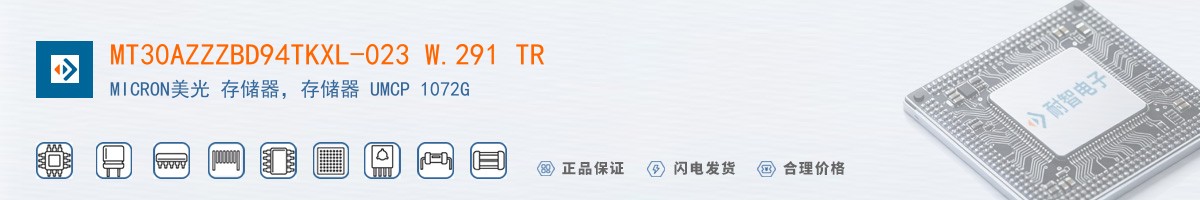 MT30AZZZBD94TKXL-023 W.291 TR������