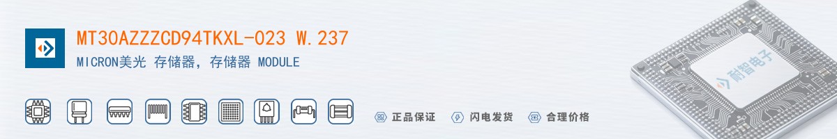 MT30AZZZCD94TKXL-023 W.237������