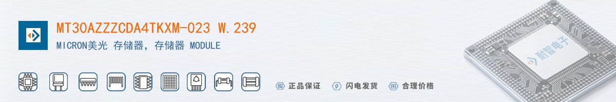 MT30AZZZCDA4TKXM-023 W.239������