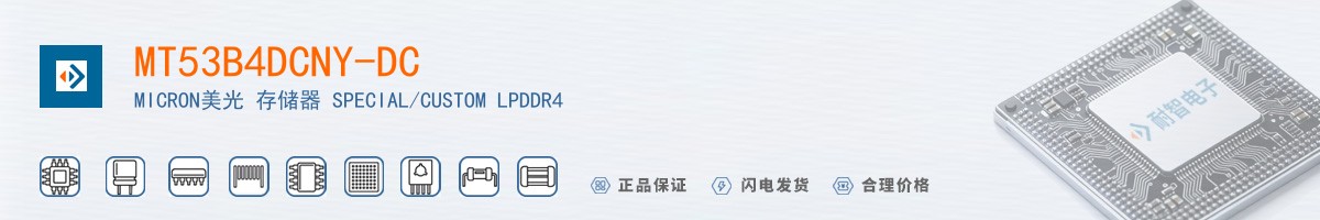 MT53B4DCNY-DC������