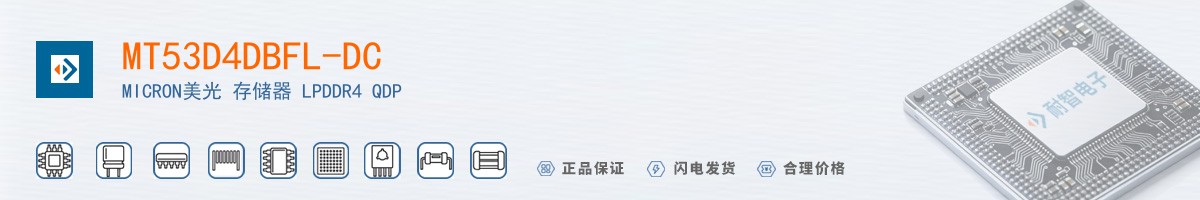 MT53D4DBFL-DC������