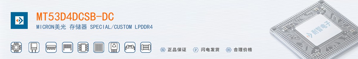 MT53D4DCSB-DC������