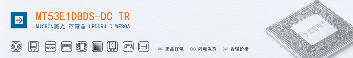 MT53E1DBDS-DC TR������