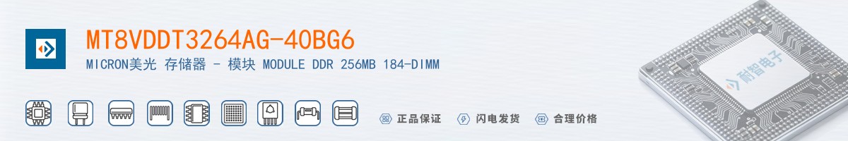 MT8VDDT3264AG-40BG6������