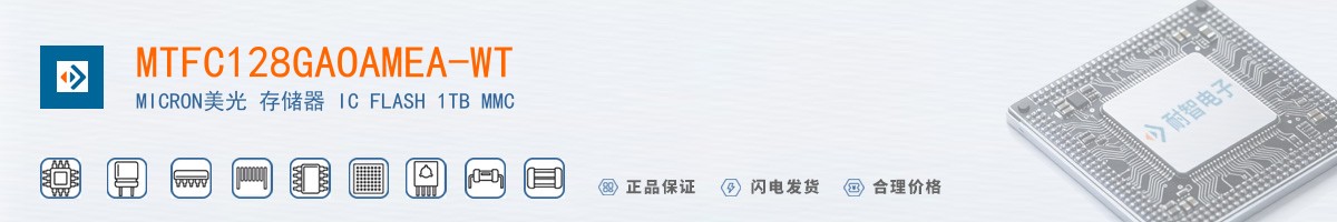 MTFC128GAOAMEA-WT������