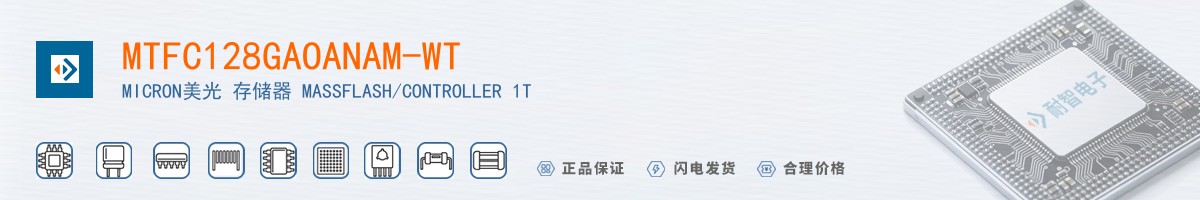 MTFC128GAOANAM-WT������