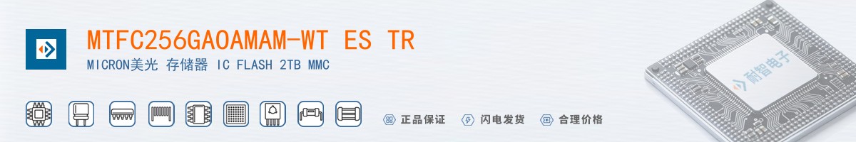 MTFC256GAOAMAM-WT ES TR������