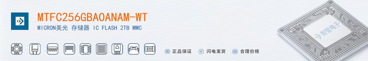 MTFC256GBAOANAM-WT������