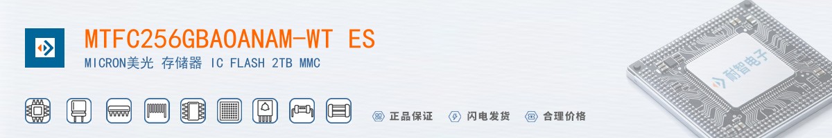 MTFC256GBAOANAM-WT ES������