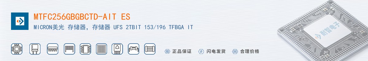 MTFC256GBGBCTD-AIT ES������