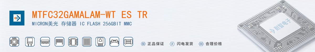 MTFC32GAMALAM-WT ES TR������