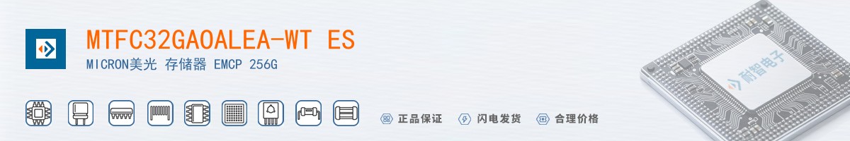 MTFC32GAOALEA-WT ES������
