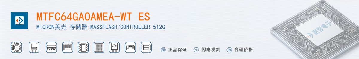 MTFC64GAOAMEA-WT ES������