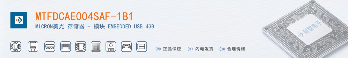 MTFDCAE004SAF-1B1������