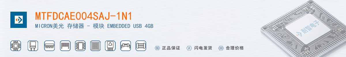 MTFDCAE004SAJ-1N1������