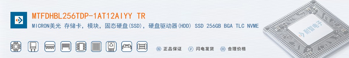 MTFDHBL256TDP-1AT12AIYY TR������
