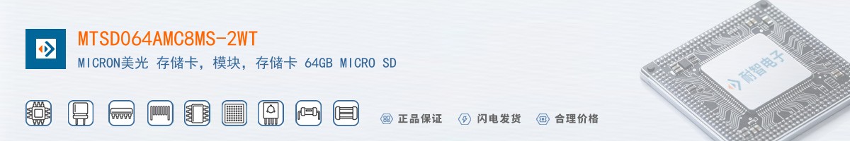 MTSD064AMC8MS-2WT������