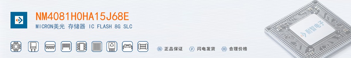 NM4081H0HA15J68E������