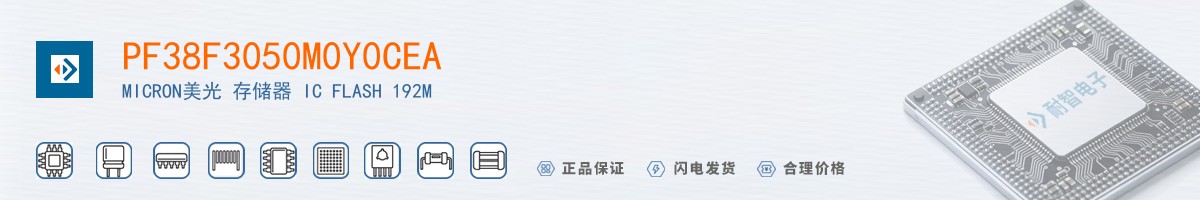 PF38F3050M0Y0CEA������