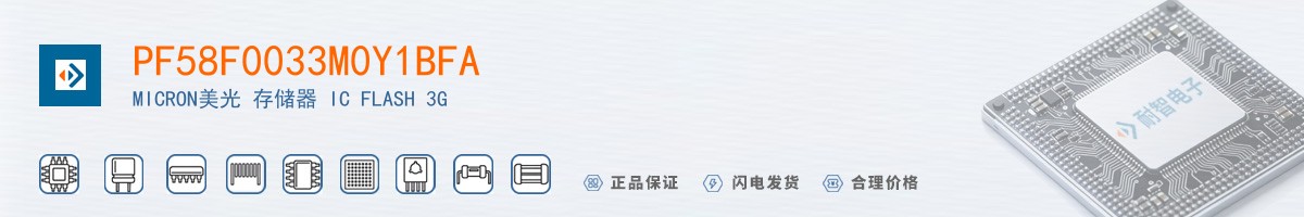 PF58F0033M0Y1BFA������