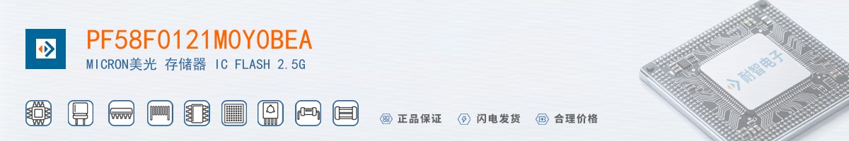 PF58F0121M0Y0BEA������