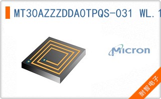 MT30AZZZDDA0TPQS-031 WL.19Q
