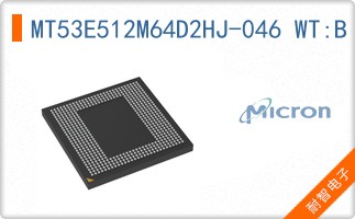 MT53E512M64D2HJ-046 WT:B