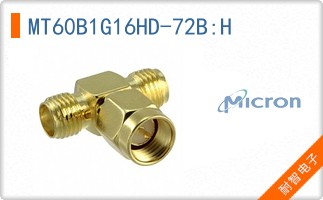 MT60B1G16HD-72B:H