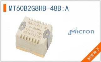 MT60B2G8HB-48B:A