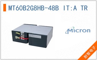 MT60B2G8HB-48B IT:A TR