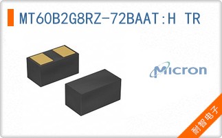 MT60B2G8RZ-72BAAT:H TR