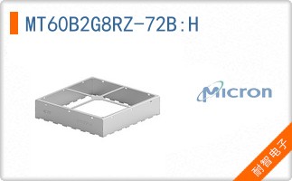 MT60B2G8RZ-72B:H