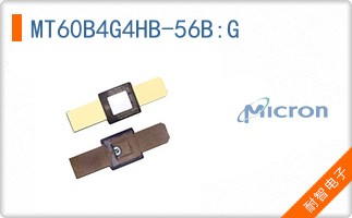 MT60B4G4HB-56B:G