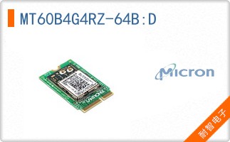 MT60B4G4RZ-64B:D