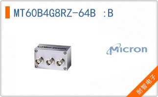 MT60B4G8RZ-64B :B