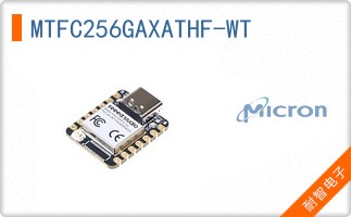 MTFC256GAXATHF-WT
