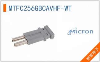 MTFC256GBCAVHF-WT