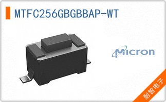 MTFC256GBGBBAP-WT