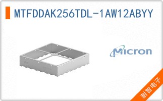 MTFDDAK256TDL-1AW12ABYY